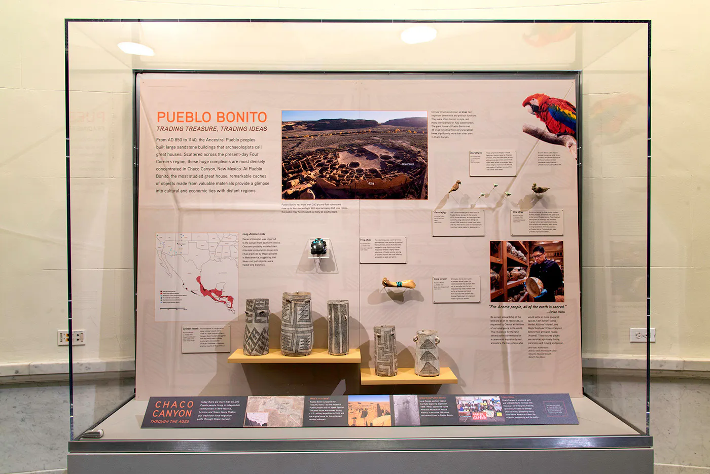 American Museum of Natural History | All You Need to Know